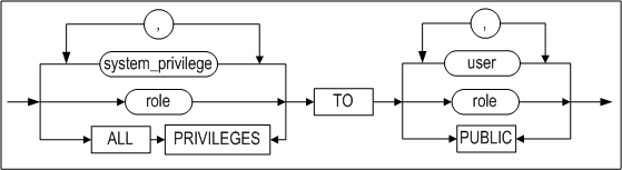 grant_system_privilege