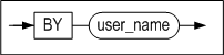 audit_by_clause