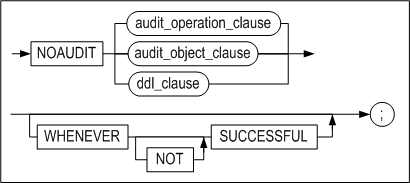 noaudit