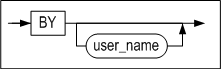 noaudit_by_clause