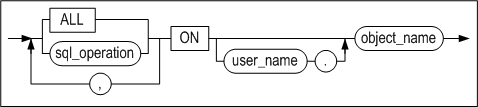 noaudit_object_clause