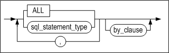 noaudit_operation_clause