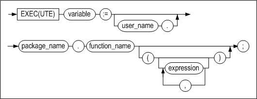 execute_function
