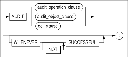 audit