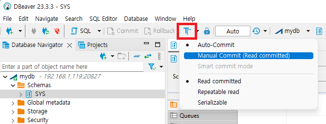 defaultAutoCommitOff3