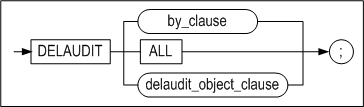 delaudit